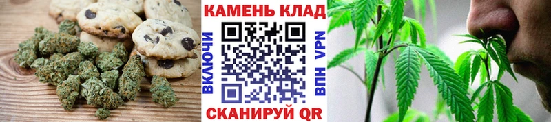 Canna-Cookies марихуана  OMG ссылки  Нолинск 