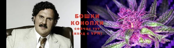 ALPHA PVP Богородск