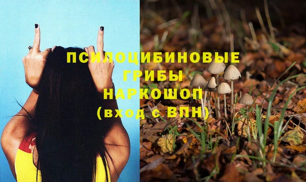 марки nbome Богданович