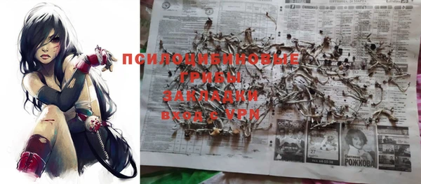 мдма Богородицк