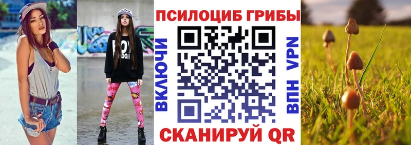 Псилоцибиновые грибы GOLDEN TEACHER где продают наркотики Нолинск